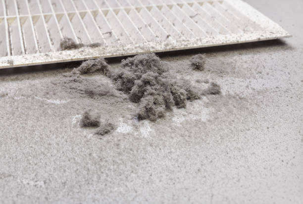 HVAC System Cleaning in Greenbriar, FL